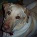 Profile Picture of Thor Hanna (@thor.hanna.3) on Facebook