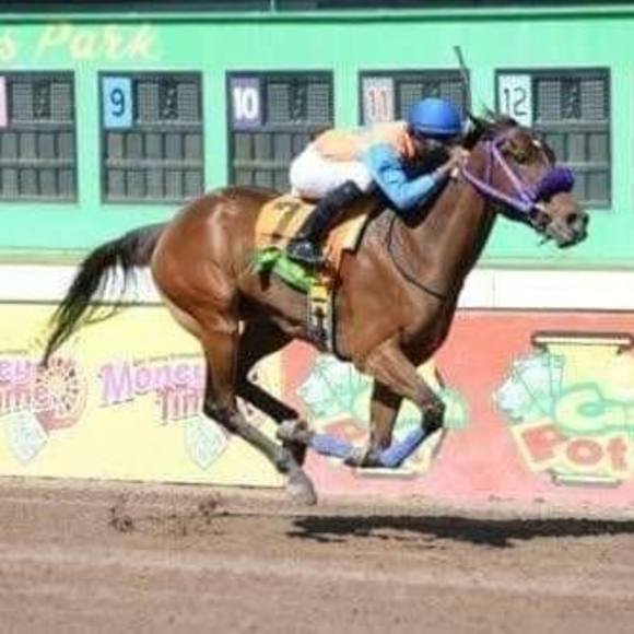 Profile Picture of Paul Hall (@oldhall13) on Poshmark