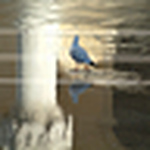 Profile Picture of Lucia Di Daniel (@Lucia DD) on Flickr