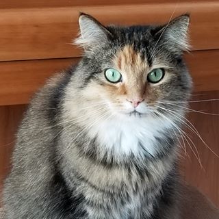 Profile Picture of Man Tang (@man.tang.52) on Facebook