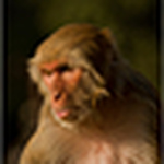 Profile Picture of David Ireland (@DaveIreland1) on Flickr