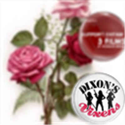 Lisa D'Amario - Twitter Profile Picture of Lisa D'Amario (@denverdame) on Twitter