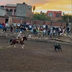 Profile Picture of Pizano Daniel (@pizanodani) on Facebook