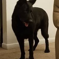 Profile Picture of Bart Jones (@bart-jones-9) on Quora