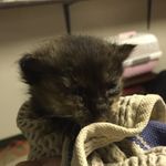 Profile Picture of Bob Kaminski (@bob_kaminski) on Instagram