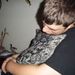 Profile Picture of Steven Forrest (@bustercherri) on Pinterest
