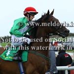 Profile Picture of George Connolly (@georgeconnolly99) on Instagram