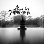 Profile Picture of Adam (@roderickampson) on Instagram