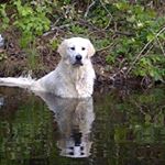 Profile Picture of John Skedgell (@johnskedgell) on Instagram