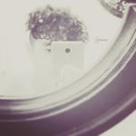 Profile Picture of michaelfernandez (@migexl14) on Instagram