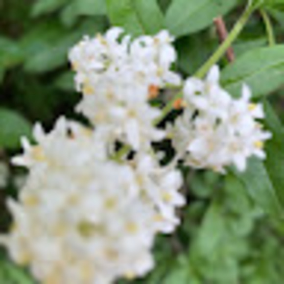 Miah Tretter - Poshmark Profile Picture of Miah Tretter (@miahtretter46) on Poshmark