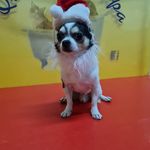 Profile Picture of Fittipaldi Sofia (@fittipaldi.sofia.96) on Instagram