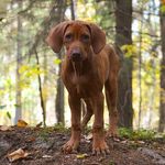 Profile Picture of NANCY (@nancycope.84) on Instagram