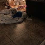 Profile Picture of Blanca Santiago (@blanca.santiago.79) on Instagram