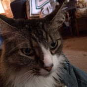 Profile Picture of Aaron Pippin (@aaronearl123) on Youtube