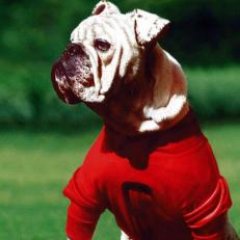 Profile Picture of Jason Backus (@MrJBackus) on Twitter
