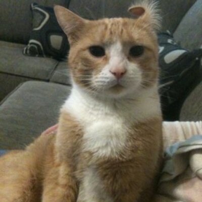 Profile Picture of EJ (@ej_leung) on Twitter