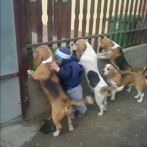 Profile Picture of Liza Loidlot (@lizunka) on Poshmark