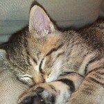 Profile Picture of mikedelk4 (@mikedelk4) on Instagram