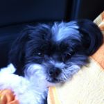 Paula Dunford - Instagram Profile Picture of Paula Dunford (@pjayne40) on Instagram