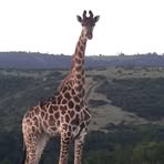 Eugene Venske - Facebook Profile Picture of Eugene Venske (@eugene.venske) on Facebook