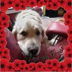 Profile Picture of Roger Land (@Roger-Land) on Facebook