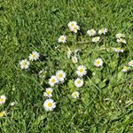 Profile Picture of louise_parre (@louise_parre) on Instagram