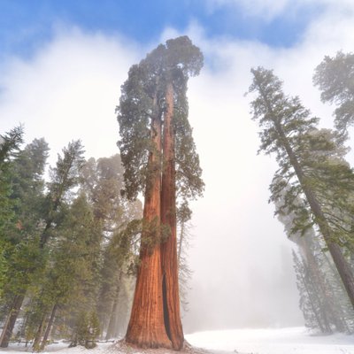 Profile Picture of Colin Alexander (@Colinalexandr) on Twitter