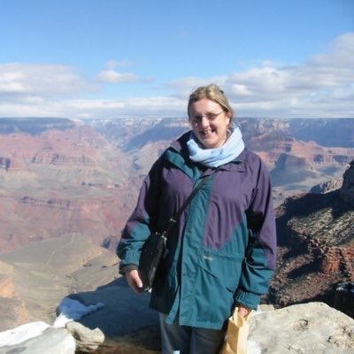 Profile Picture of Jayne Bradley (@swallowsbird) on Twitter