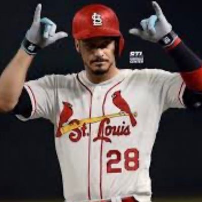 Profile Picture of Birds_Fan (@RobertD33415807) on Twitter