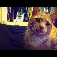 Profile Picture of Colin Howard (@colin-howard-16) on Quora