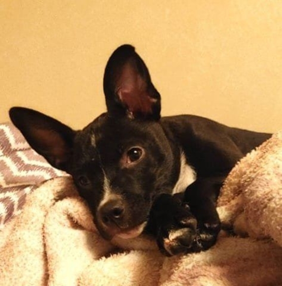 Profile Picture of Danny Lynn (@dannylynn126) on Poshmark