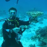 Profile Picture of Daniel Bacchi (@dbi1962) on Instagram