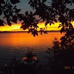 Profile Picture of Dawn Potts-MacDonald (@dawnpottsmacdon) on Pinterest