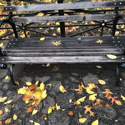 Profile Picture of Roland Basil Colbert (@colbertism) on Twitter