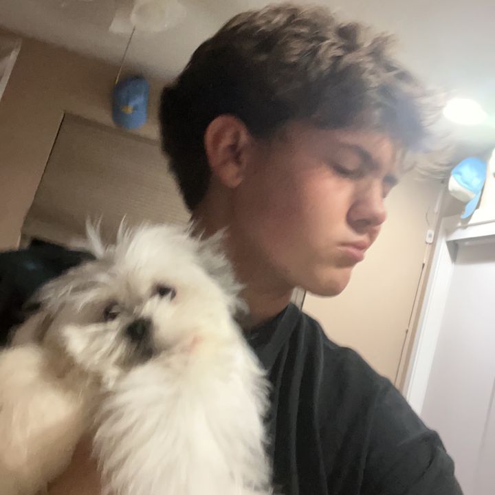 Profile Picture of Jayce Davison (@jaycedavison) on Tiktok