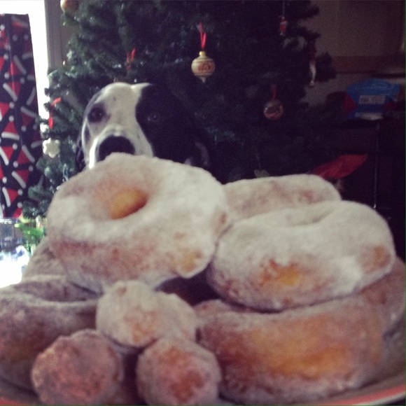 Ashley Battiste - Poshmark Profile Picture of Ashley Battiste (@ashsrsrex) on Poshmark