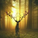 Profile Picture of Timothy Stokes (@timothystokes54) on Instagram