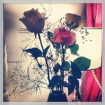 Profile Picture of Charles Ferguson (@kinetaine) on Instagram