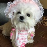 Profile Picture of Nancy Frost (@nancyfrost8) on Instagram