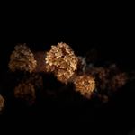 Profile Picture of Binita_patel (@pixel_o_graphyy) on Instagram