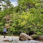 Profile Picture of Christopher Knittel (@sageknittel) on Instagram