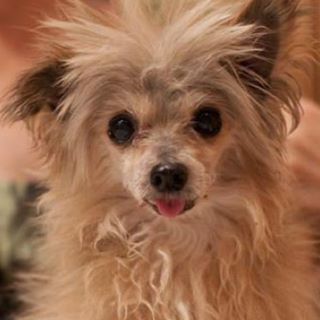 Profile Picture of Sam Dow (@sam.dow.79) on Facebook