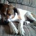 Profile Picture of Eva Volk-Schlichting (@erschlichting) on Pinterest