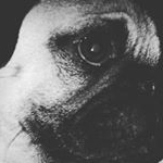 Profile Picture of Roberthaa Lopez (@roberthaaglezlopez) on Instagram