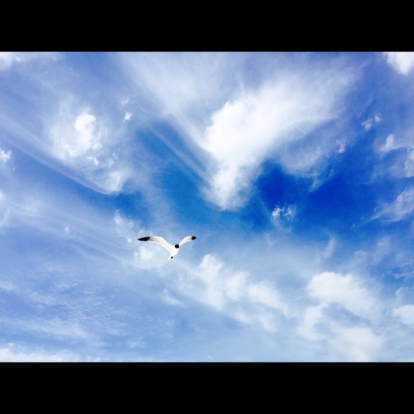 Profile Picture of Doreen Macartney (@luthervandross) on Poshmark