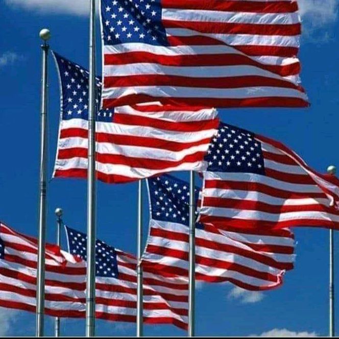 Profile Picture of adolfosuarez762 (@adolfosuarez762) on Tiktok