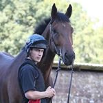 Profile Picture of Thomas Willmott (@tamwillmott123) on Instagram