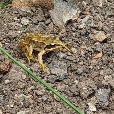 Profile Picture of Sandra Thomas (@SandraT59754443) on Twitter