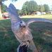 Profile Picture of Greg Stipp (@greg.stipp) on Facebook